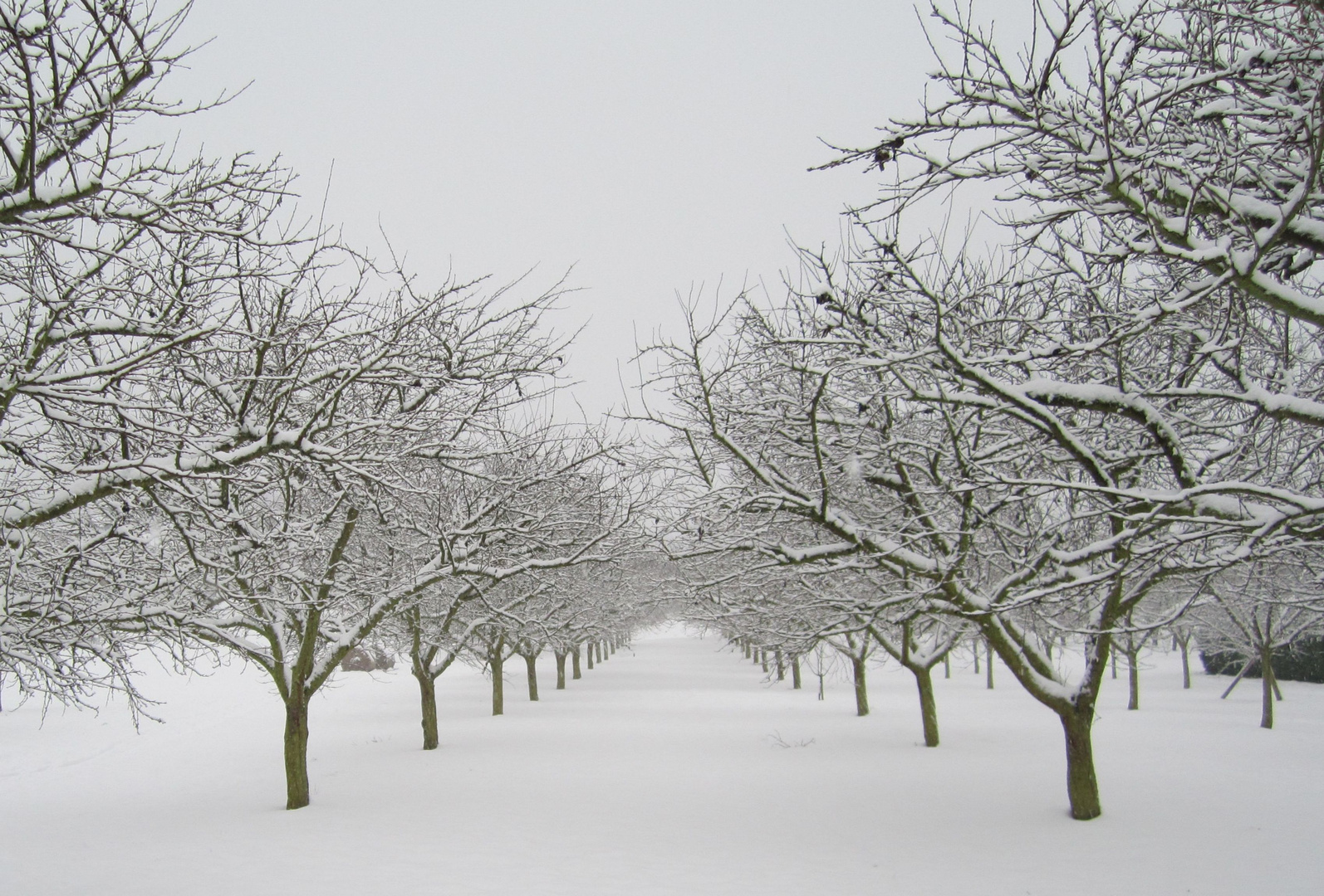 Erinnerungen an einen Winter II