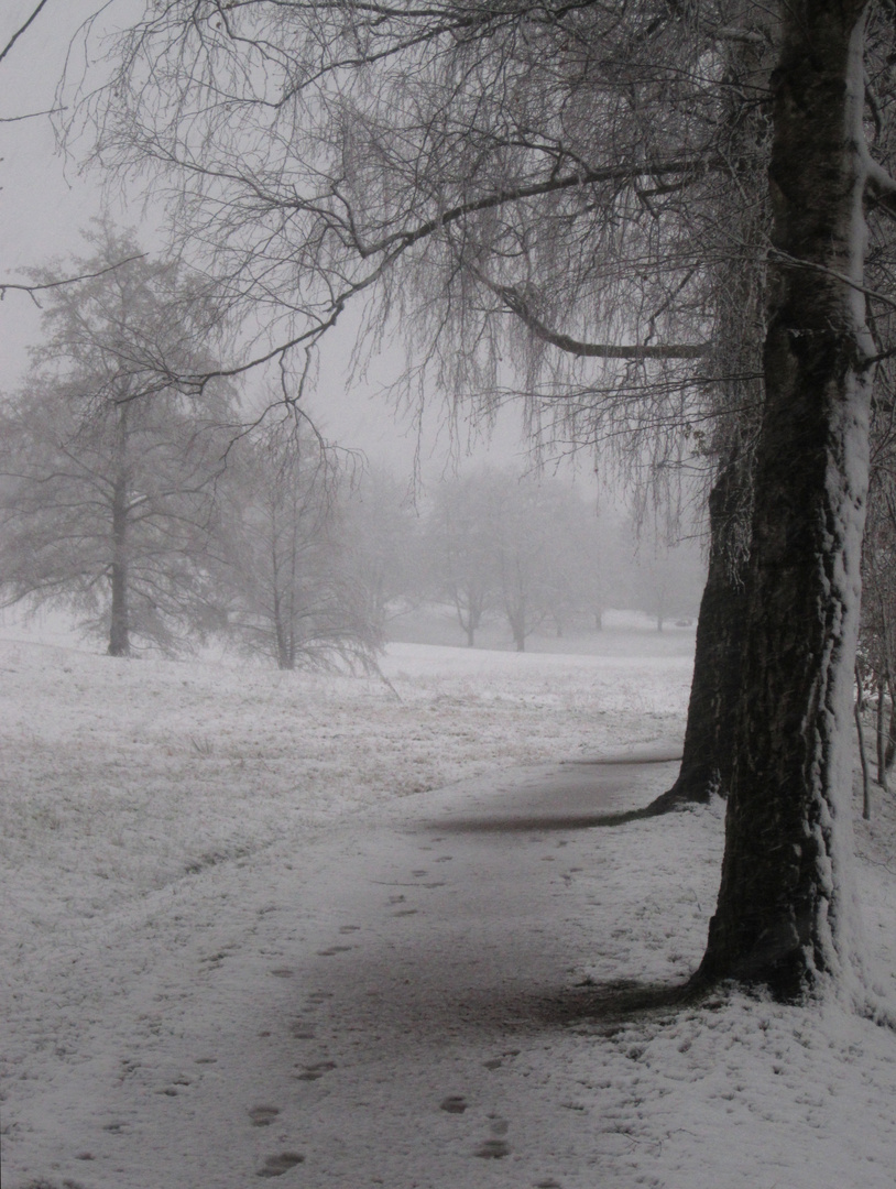 Erinnerungen an einen Winter V