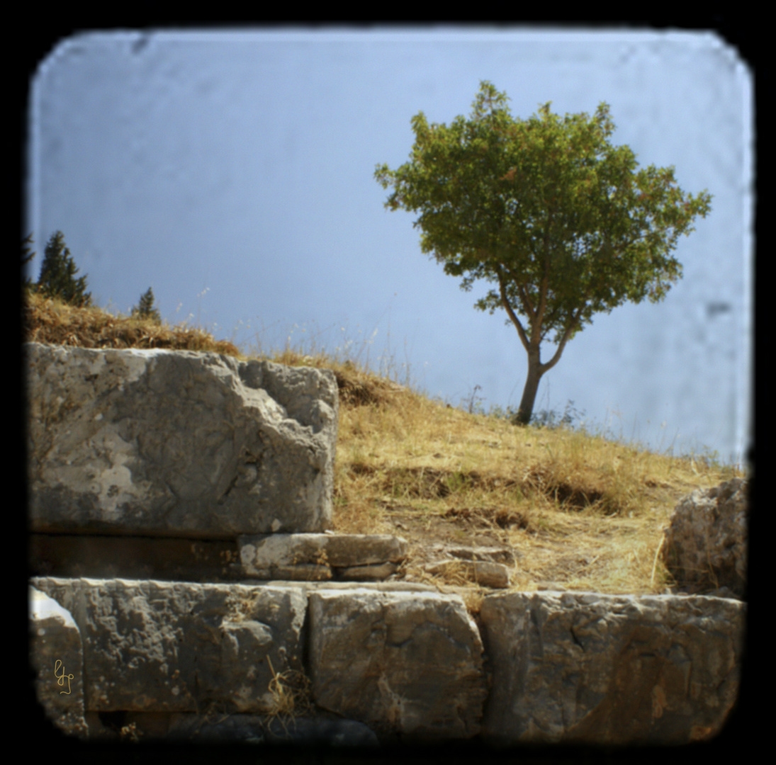 Erinnerungen an Ephesus