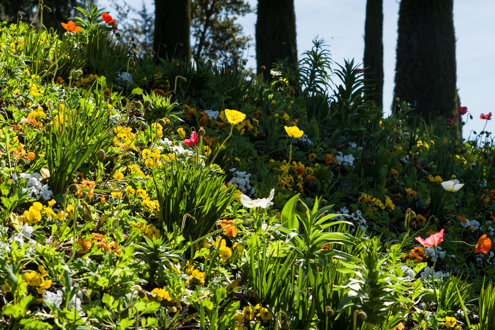 Erinnerungen an Henri Rousseau