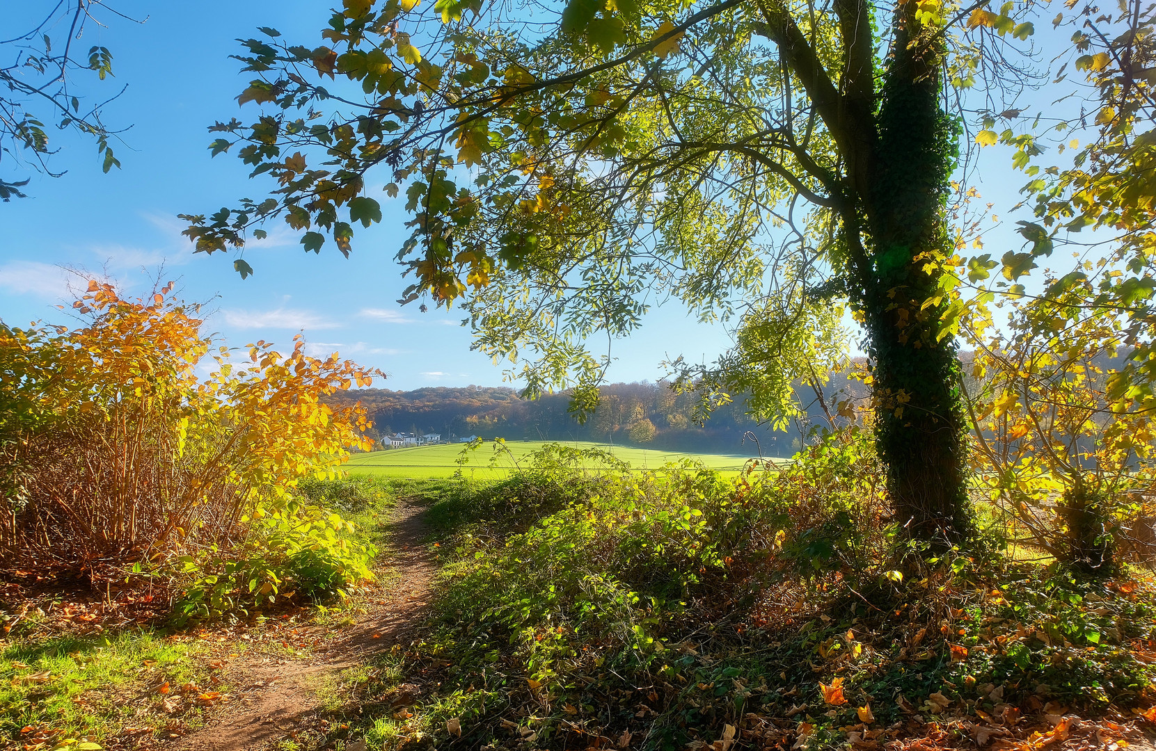 Erinnerungen an Herbst+Sonnenschein-3-(5.1.2023)