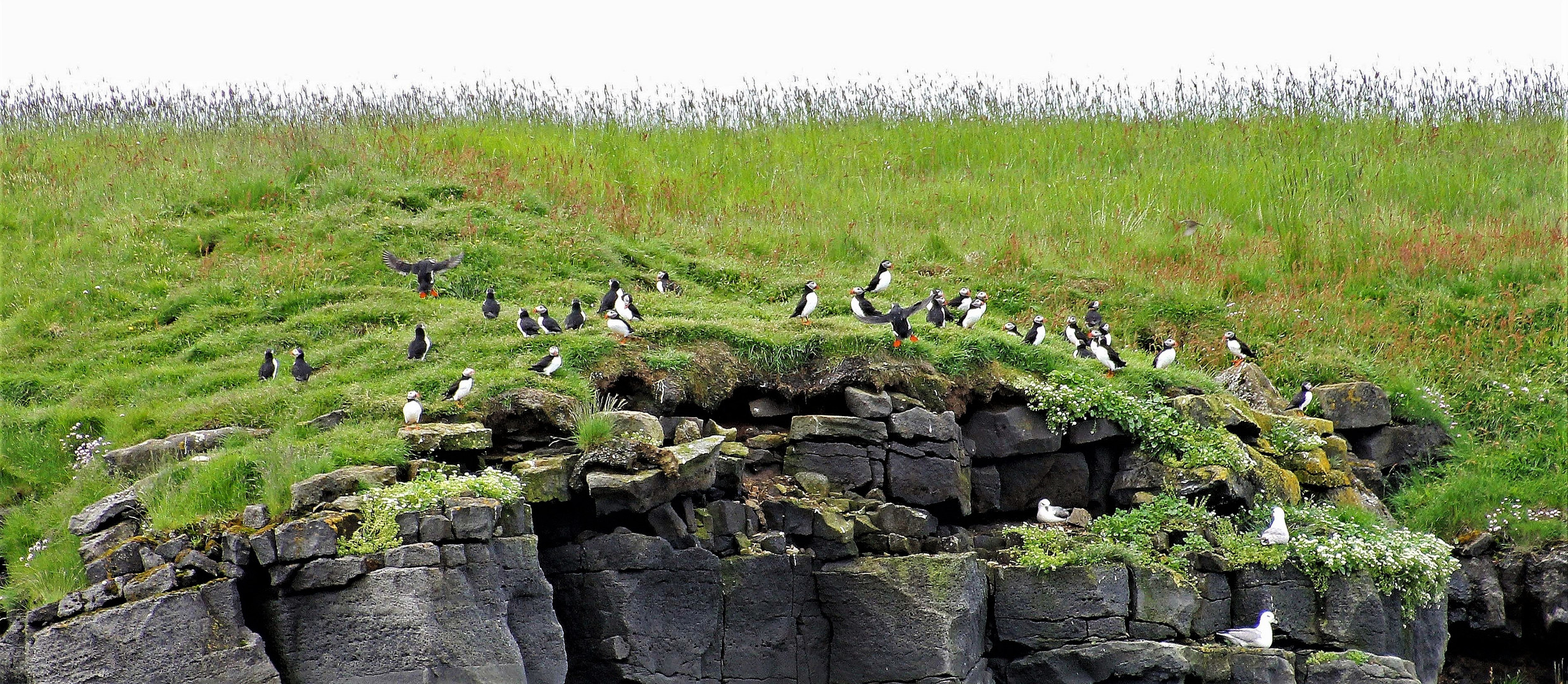 Erinnerungen an Island