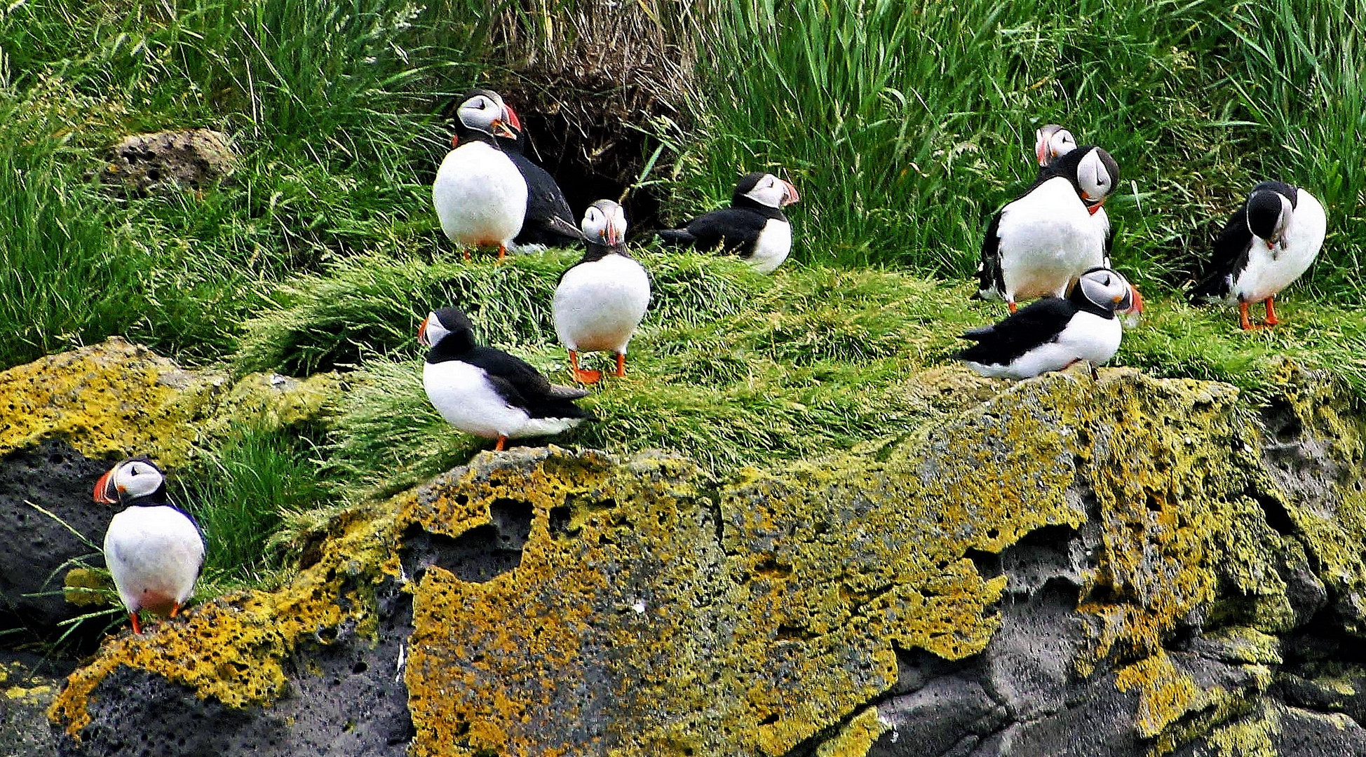 Erinnerungen an Island