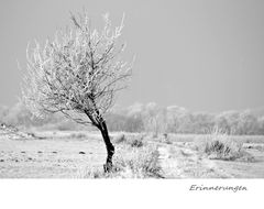 Erinnerungen an Kälte und Schnee