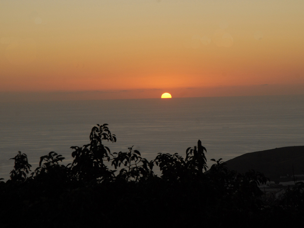 Erinnerungen an La Palma 20 (Vor einem Jahr, erste Foto 12.2.- 6.4.2012)