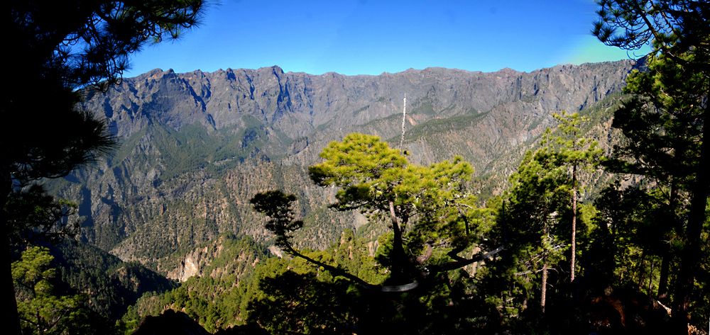 Erinnerungen an La Palma IX (Vor einem Jahr, erste Foto 12.2.- 6.4.2013)