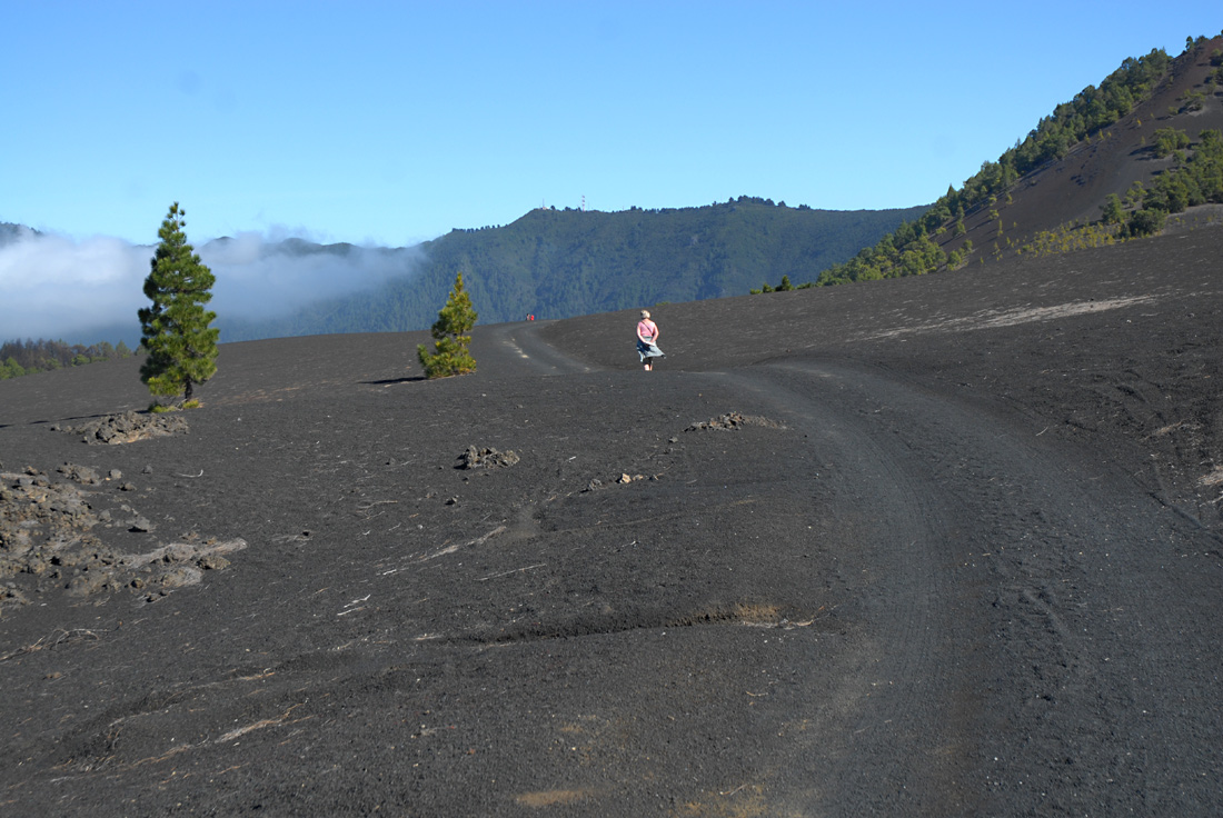 Erinnerungen an La Palma VII (Vor einem Jahr, erste Foto 12.2.- 6.4.2013)