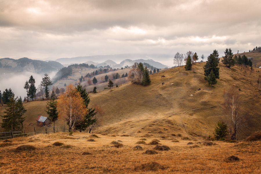 Erinnerungen an letzten Herbst