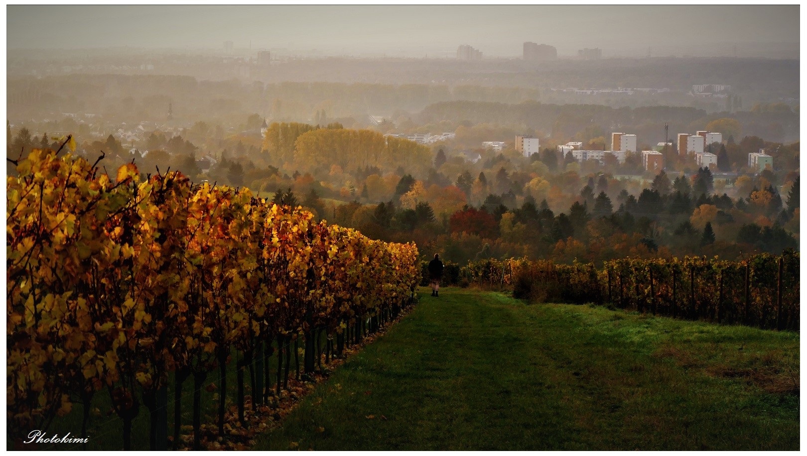 Erinnerungen an letzten Herbst (III),