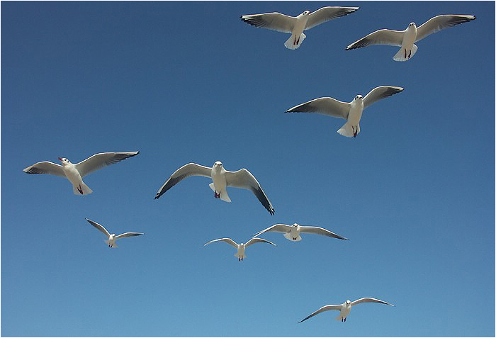 Erinnerungen an Sylt (45)