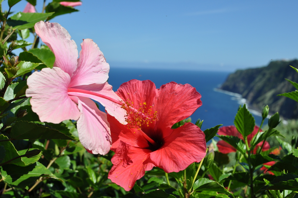 Erinnerungen an warme Sommertage