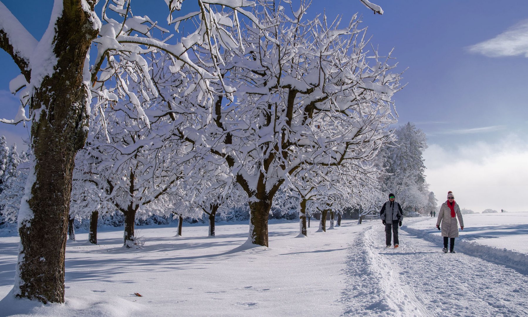 Erinnerungen an Wintertage