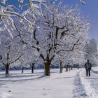 Erinnerungen an Wintertage