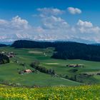 Erinnerungen eines alten Bergsteigers