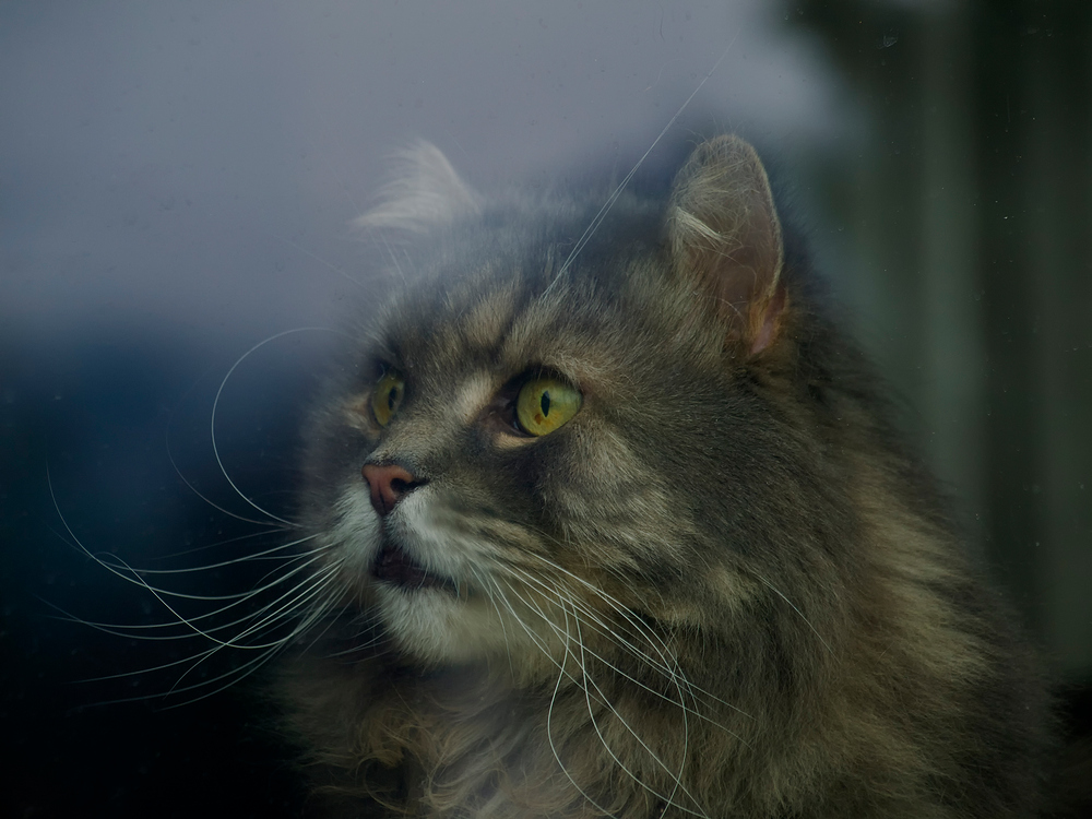 Erinnerungen sind wie der Blick durch's Fenster