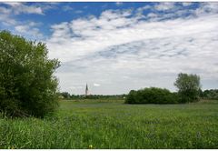 eriskirch mit irisblüte