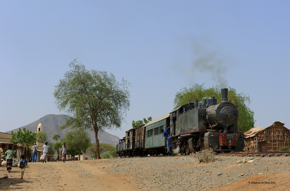 Eritrea II ; Damas