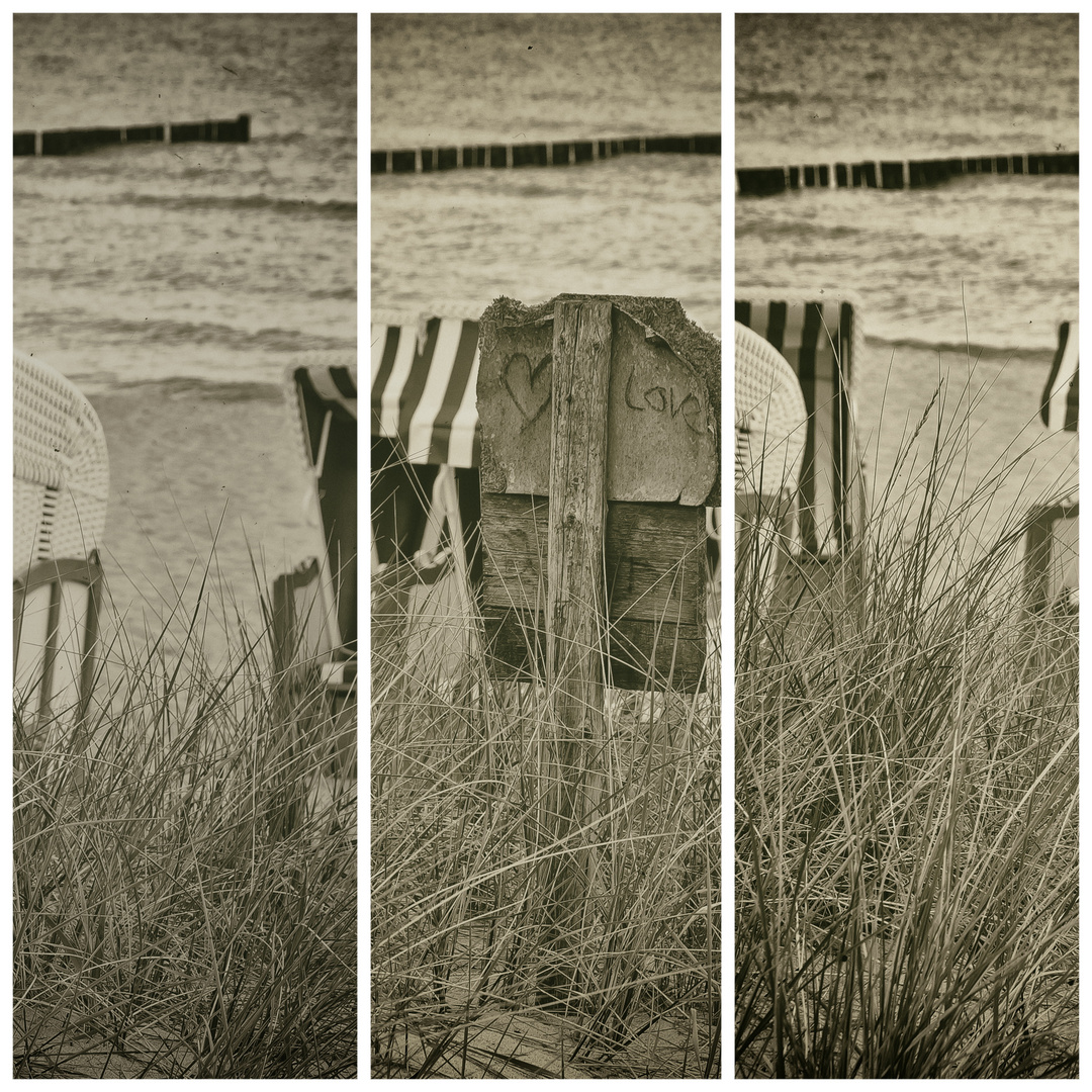 Erklärung am Strand