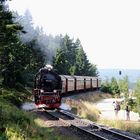 Erklimmt die Steigung zum Bhf Brocken...