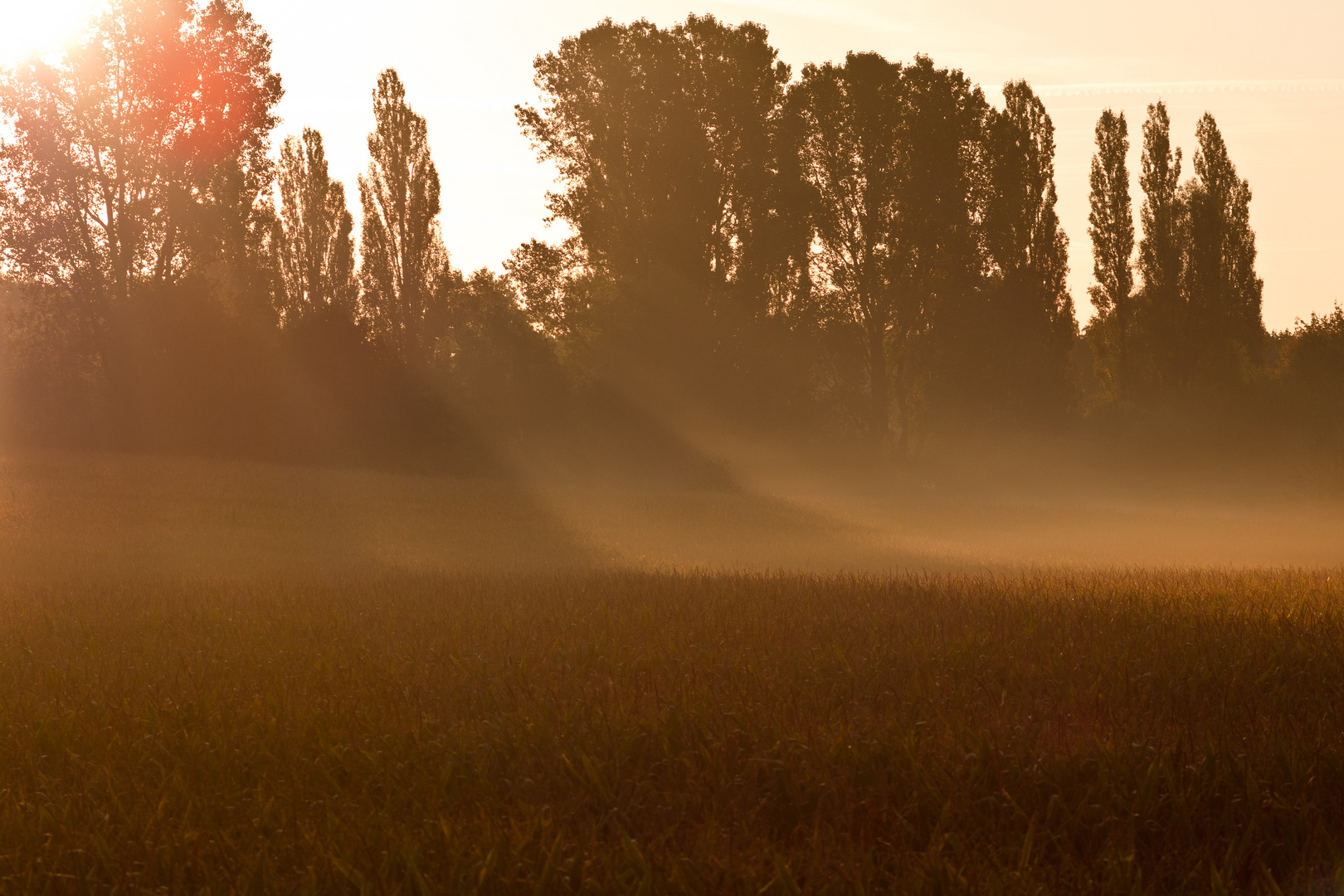 Erkrath ganz früh morgens Vol. 5