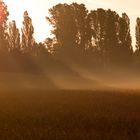 Erkrath ganz früh morgens Vol. 5