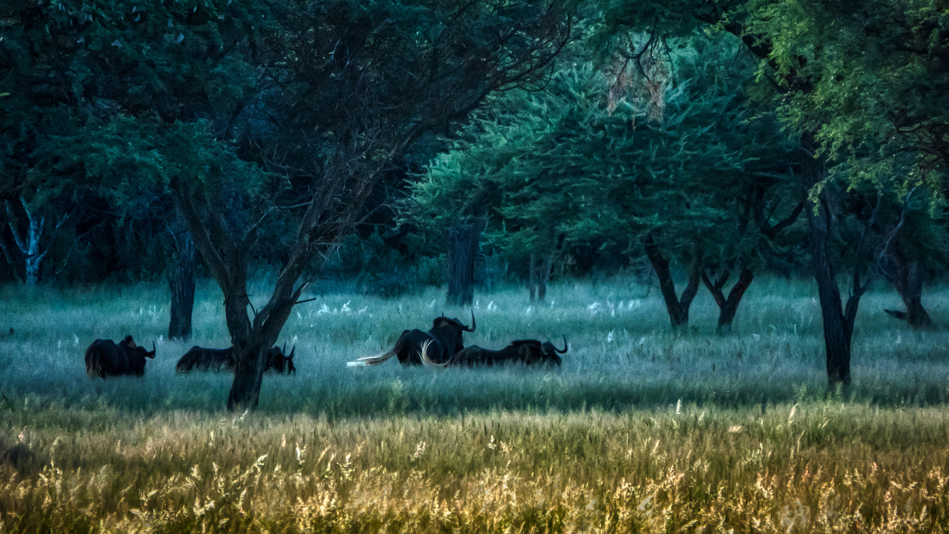 Erkundungsfahrt auf der Kataneno Jagd Ranch (10)