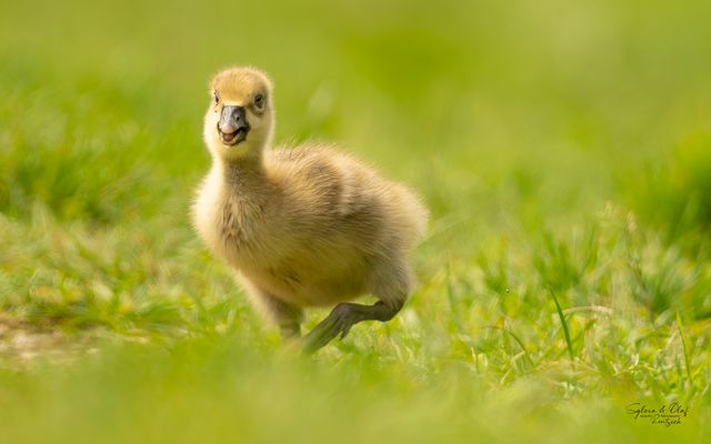 °°_Erkundungstour_°°