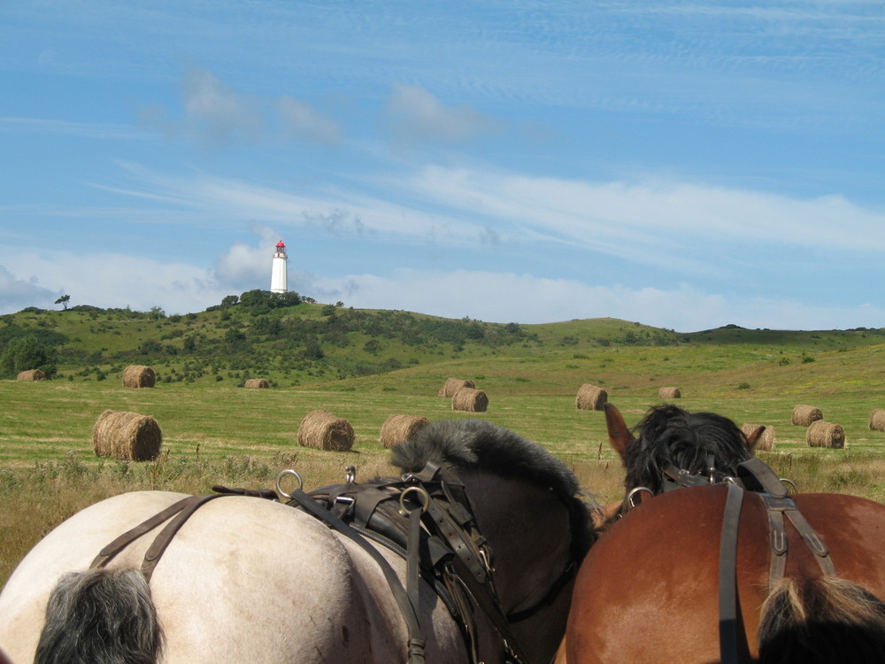 Erkundungstour auf Hiddensee...