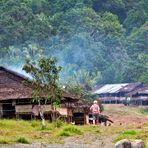 Erkundungstour auf Seram- Molukken