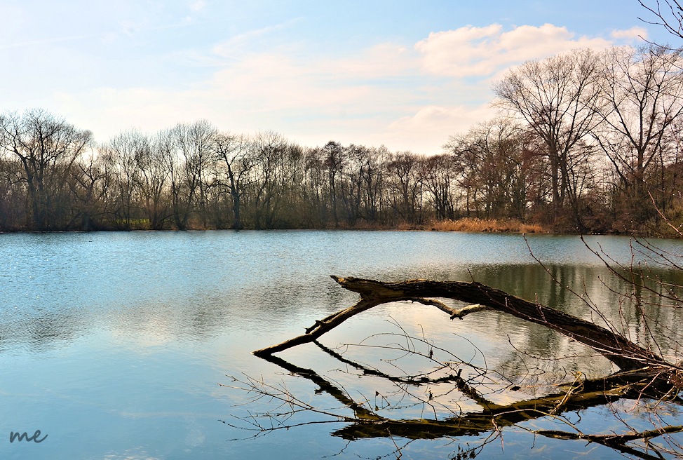 Erlachsee, Anfang April ....