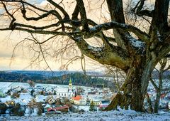 Erlaheim unter der Linde