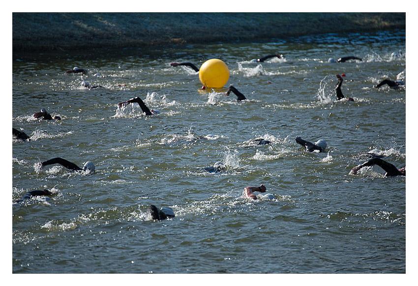 Erlangen-Triathlon Schwimmen