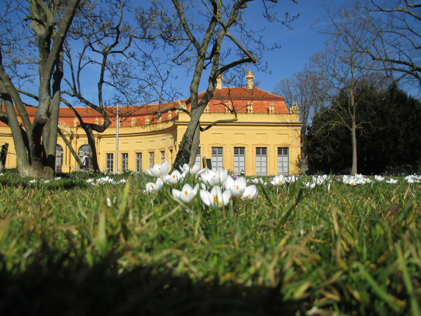 Erlanger Frühling