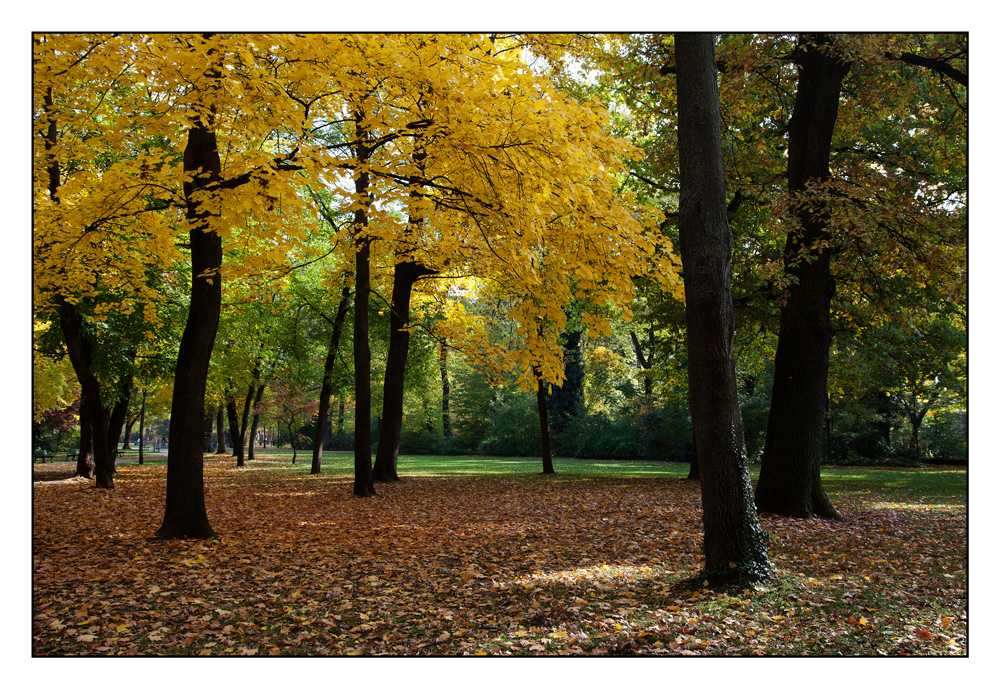 Erlanger Schlossgarten in Herbstkleid