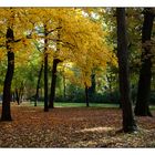 Erlanger Schlossgarten in Herbstkleid