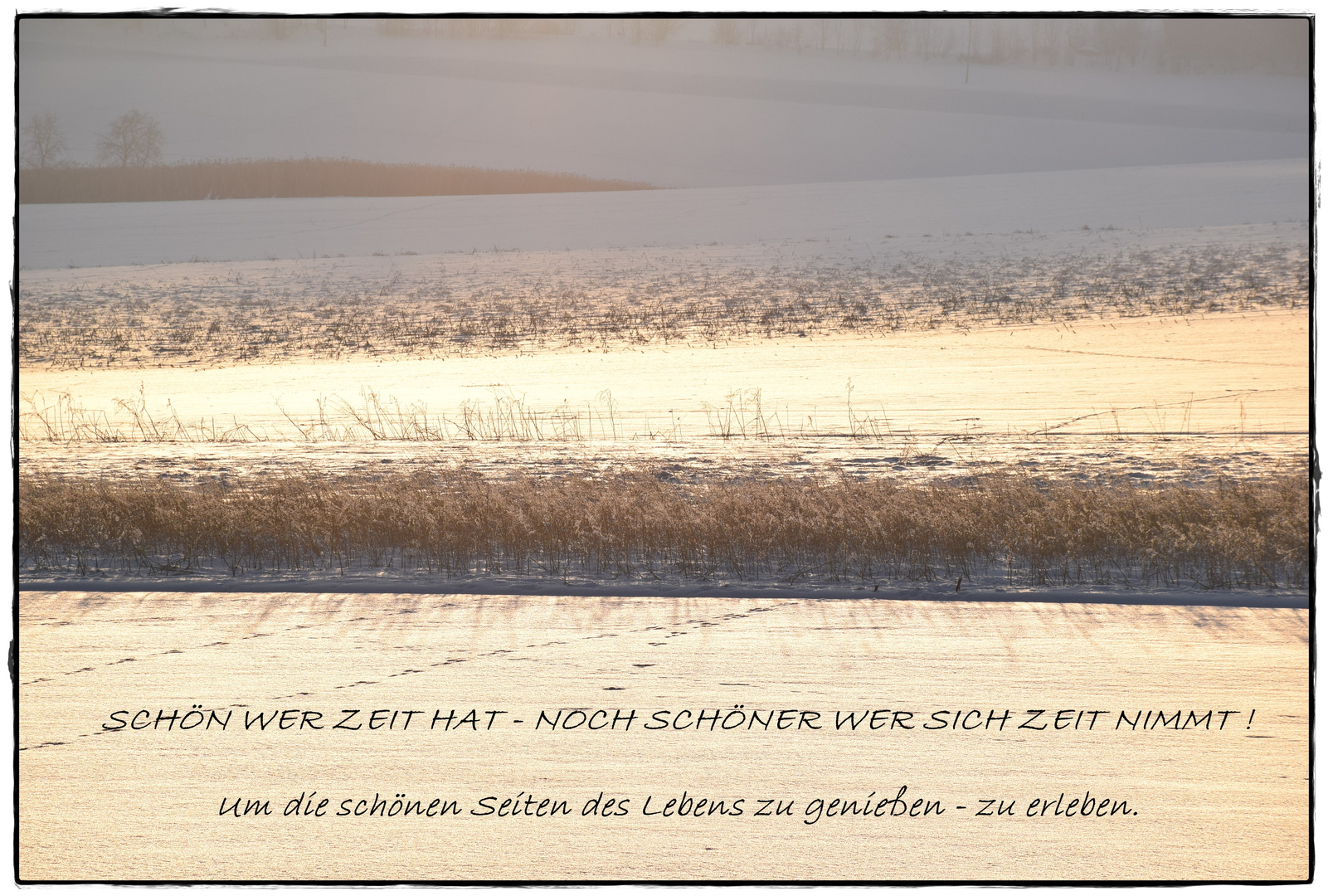 Download Zeit geniessen spruch For Android Free