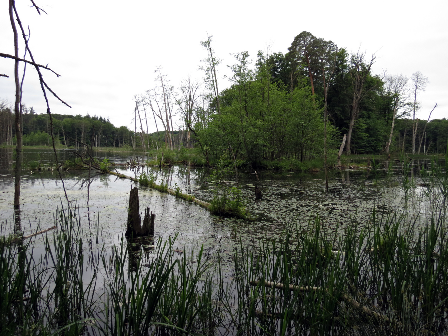 Erlebnis Müritz-Nationalpark