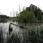 Erlebnis Müritz-Nationalpark