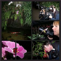 Erlebnis Orchideengarten