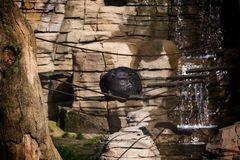 Erlebnis-Zoo Hannover -02-