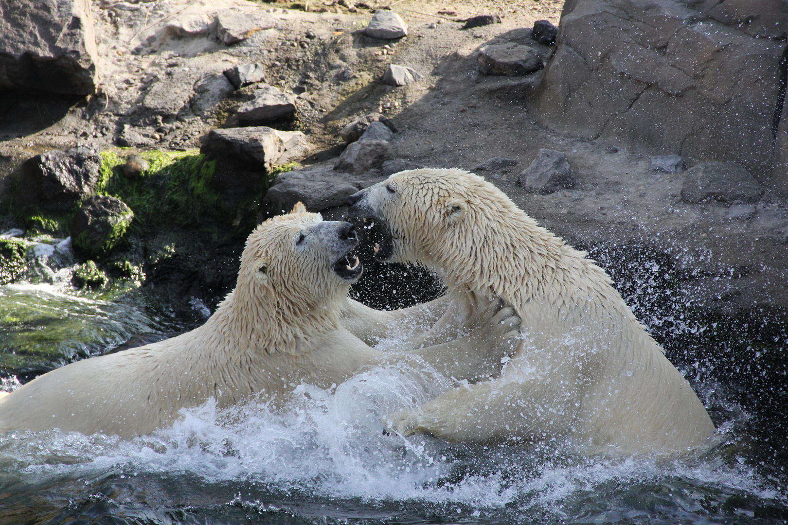 Erlebnis-Zoo Hannover