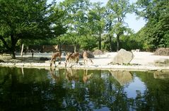 Erlebnis-Zoo-Hannover