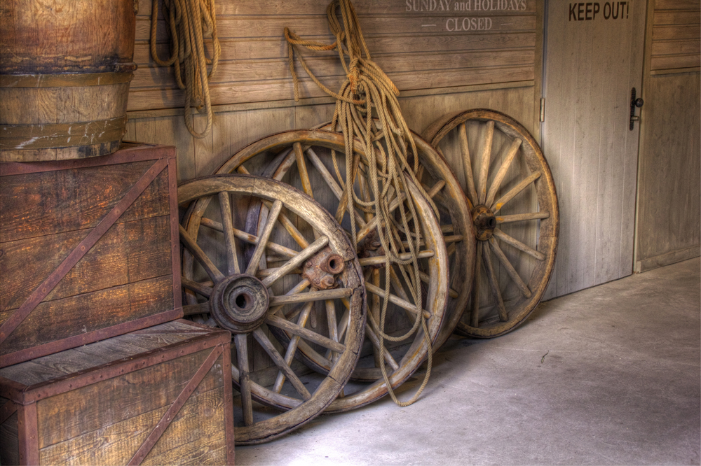 Erlebnis-Zoo Hannover HDR No.21