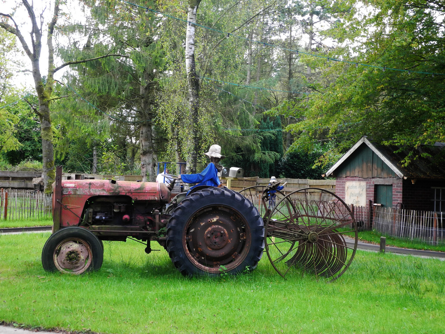 Erlebnishof in Westerstede