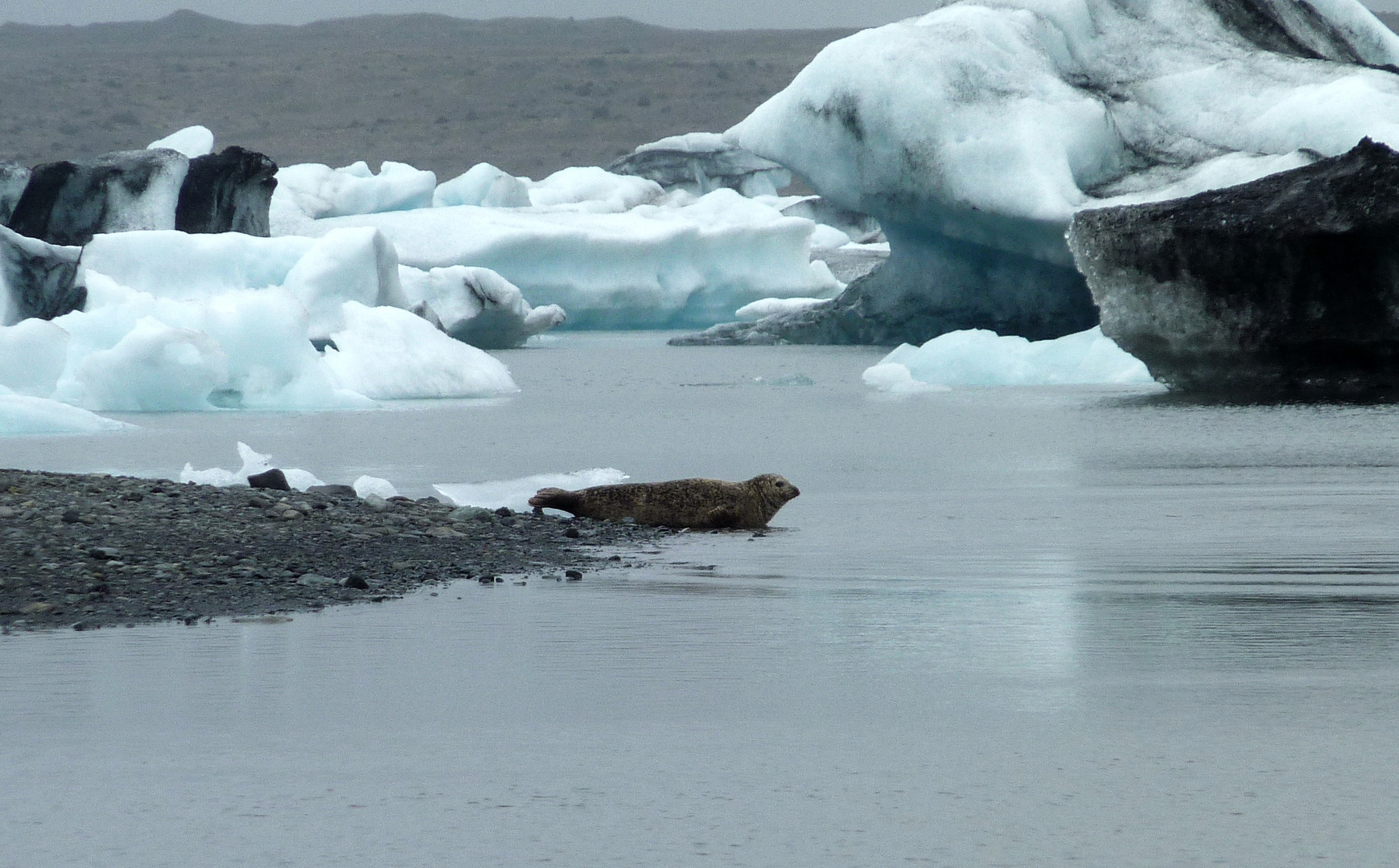 Erlebnisse am Jökulsarion