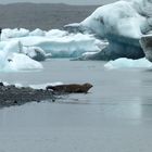 Erlebnisse am Jökulsarion