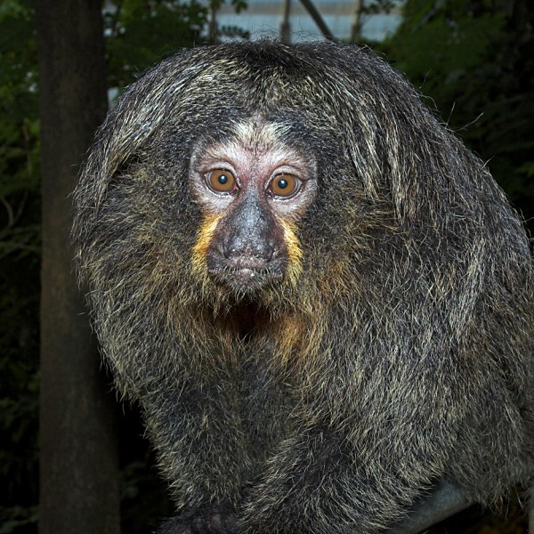 Erlebnisse im Regenwaldhaus III