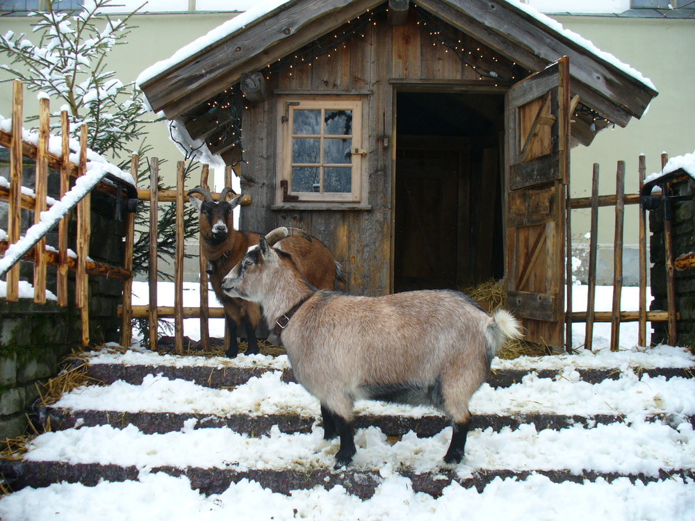 Erlebnisweihnachtsmarkt