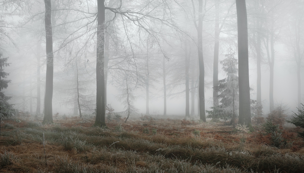 Erlebniswelt Wald...