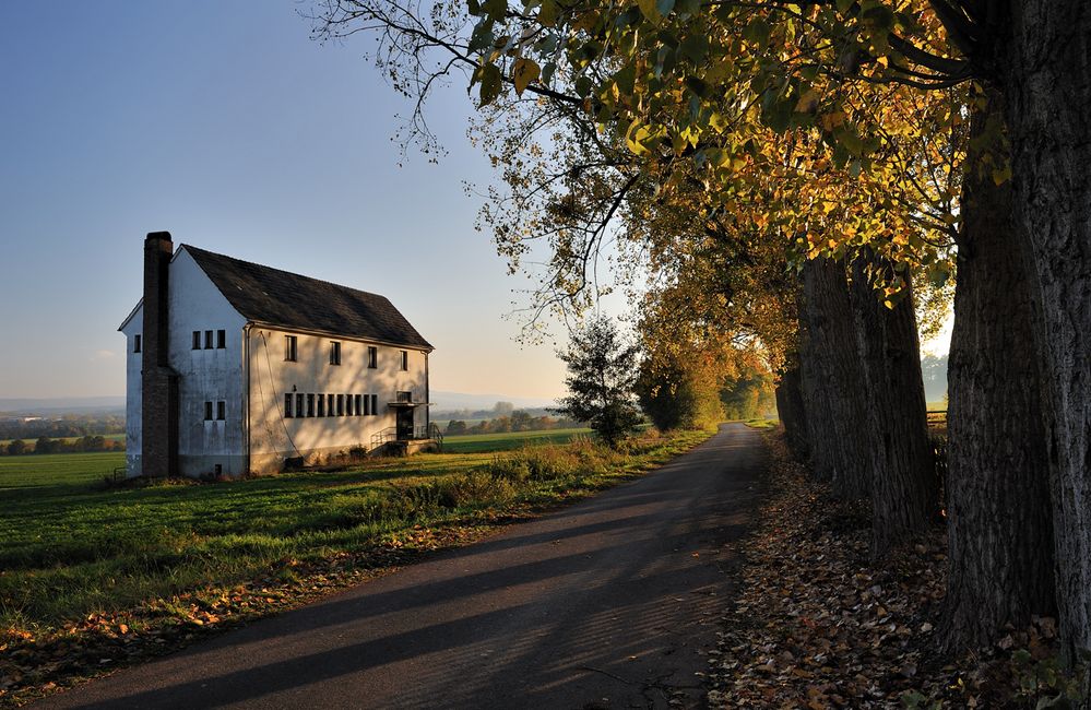 *Erlenbach im Herbst*